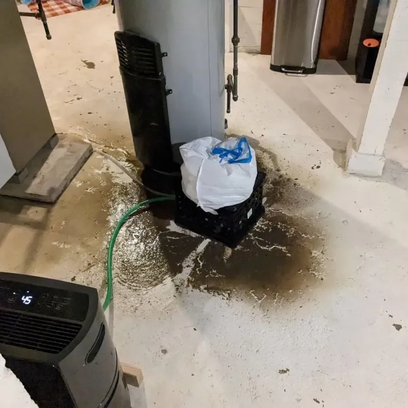 Sewage Backup Cleanup Service in Mullen, NE